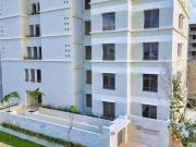 Vive Cancún a la sombra de la selva en Aqua Vivant