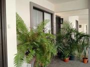 Vive comodidad: Casa en venta en Fraccionamiento...