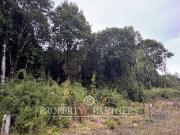 Vive en armonía con la naturaleza en «Parque Tres...