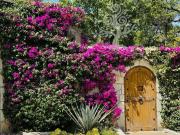 Vive en La Naturaleza en Esta Preciosa Finca