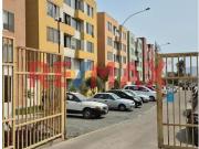 Vive En Un Clima Soleado Todo El Año