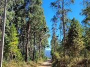 VIVE LA NATURALEZA DE VALDIVIA AL MEJOR PRECIO