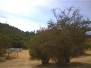 ¡Vive la Serenidad de la Naturaleza en Lomas del Sol,...