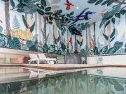 Vive la Zona Rosa de Guadalajara. Departamento con...