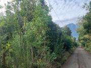 Vive rodeado de belleza natural en Pucón! Parcela en...