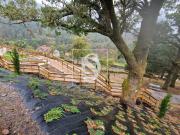 Vivenda de campo e vários s para venda em Zebral, Vieira...