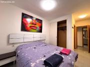 Vivienda amueblada en Avenida Valencía en alquiler...