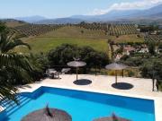 Vivienda de alto standing de 491 m2 en venta Álora,...