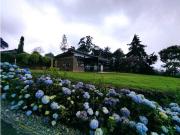 Vivienda de alto standing en alquiler Envigado, Colombia