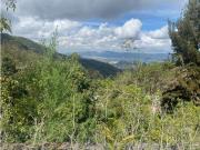 Vivienda de alto standing en venta Bogotá, Bogotá D.C