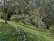 Vivienda de alto standing en venta Retiro, Departamento...