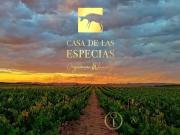 Vivienda de alto standing en venta Yecla, España