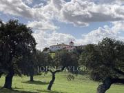 Vivienda de lujo de 1000 m2 en venta Alconchel, España