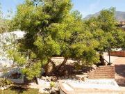 Vivienda de lujo de 820 m2 en venta Mijas, España