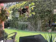 Vivienda de lujo en alquiler Envigado, Colombia