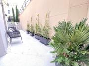 VIVIENDA DE LUJO EN PALACETE EMBLEMATICO CON TERRAZA Y 2...