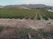 Vivienda de lujo en venta Albacete, Castilla La Mancha