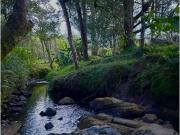 Vivienda de lujo en venta Envigado, Departamento de...