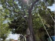 Terreno / Solar Guadalupe, Estado de Nuevo León