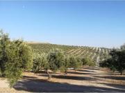 Vivienda de lujo en venta Villena, Comunidad Valenciana
