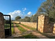 Vivienda exclusiva de 502 m2 en venta Marratxí, España