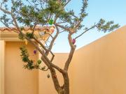 Vivienda exclusiva en alquiler Cabo San Lucas, México