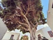 Vivienda Vacacional San Juan Telde