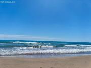 Viviendas en Edificio SOHO Guardamar del Segura