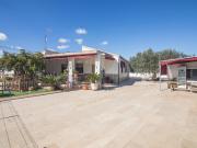 VIVIR EN UN OASIS DE TRANQUILIDAD EN PERLETA, ELCHE:...