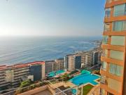 Viña del Mar, Avenida Edmundo Eluchans