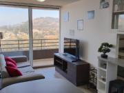 Viña del mar, camino internacional