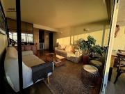 Viña del Mar, Edmundo Eluchans