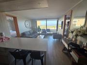 Viña del mar, edmundo eluchans