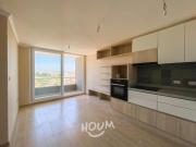 Viña del Mar, Isla Melinka