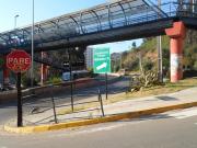 Viña del Mar, Isla Picton 245