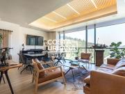 Viña del Mar, Limache