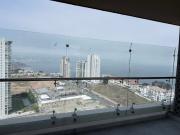 Viña del mar, los mirlos