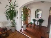 Viña del Mar, Rodimenia