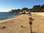 Viña del Mar, Santa inés