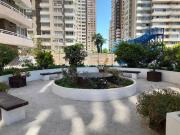 Viña del mar, viana