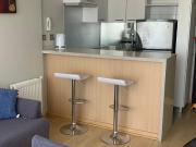 Viña del Mar, Viana