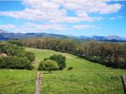Viñedo Ecológico,Olivar, 5ha. Piscina