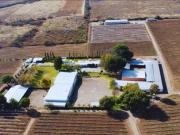 Viñedo en venta de 93 ha en México, gran potencial...