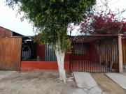 VIÑITA DEL PALOMAR, COPIAPÓ