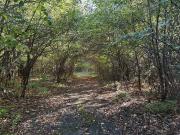 Vl Clinton Way, Jackson, Plot For Sale