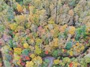 Vl Mountain Forest Ests, Sylva, Plot For Sale