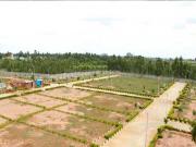 Volagerekallahalli Residential Plot For Sale Bangalore