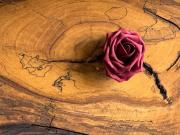 Voll ausgestattete Schreinerei in Oberfranken sucht...