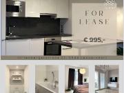 Voll ausgestattete und sofort bezugsfertige 2 Zimmer Wohnung