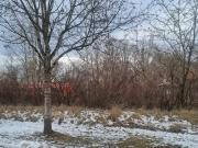 VOLL MÖBLIERTE, SONNIGE 2 Zi. WOHNUNG in MÜNCHEN AUBING...